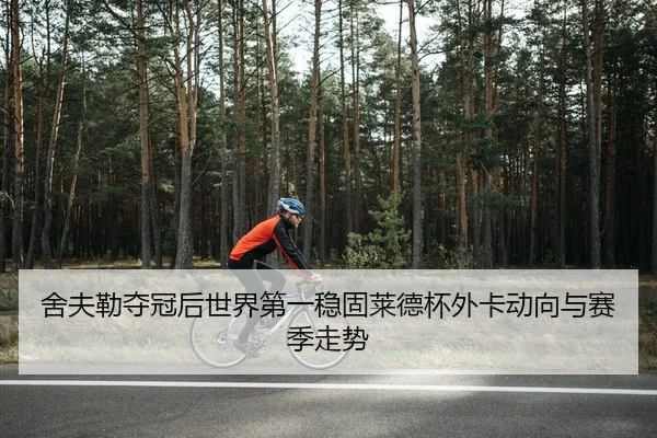 舍夫勒夺冠后世界第一稳固莱德杯外卡动向与赛季走势