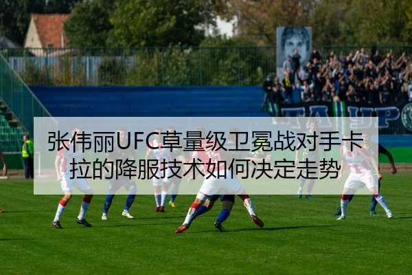 张伟丽UFC草量级卫冕战对手卡拉的降服技术如何决定走势